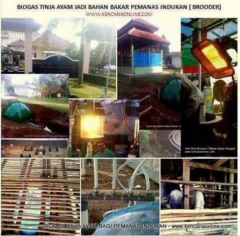 Biogas Tinja 3